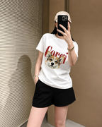 Bộ Corgi T6
