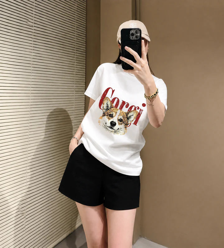 Bộ Corgi T6
